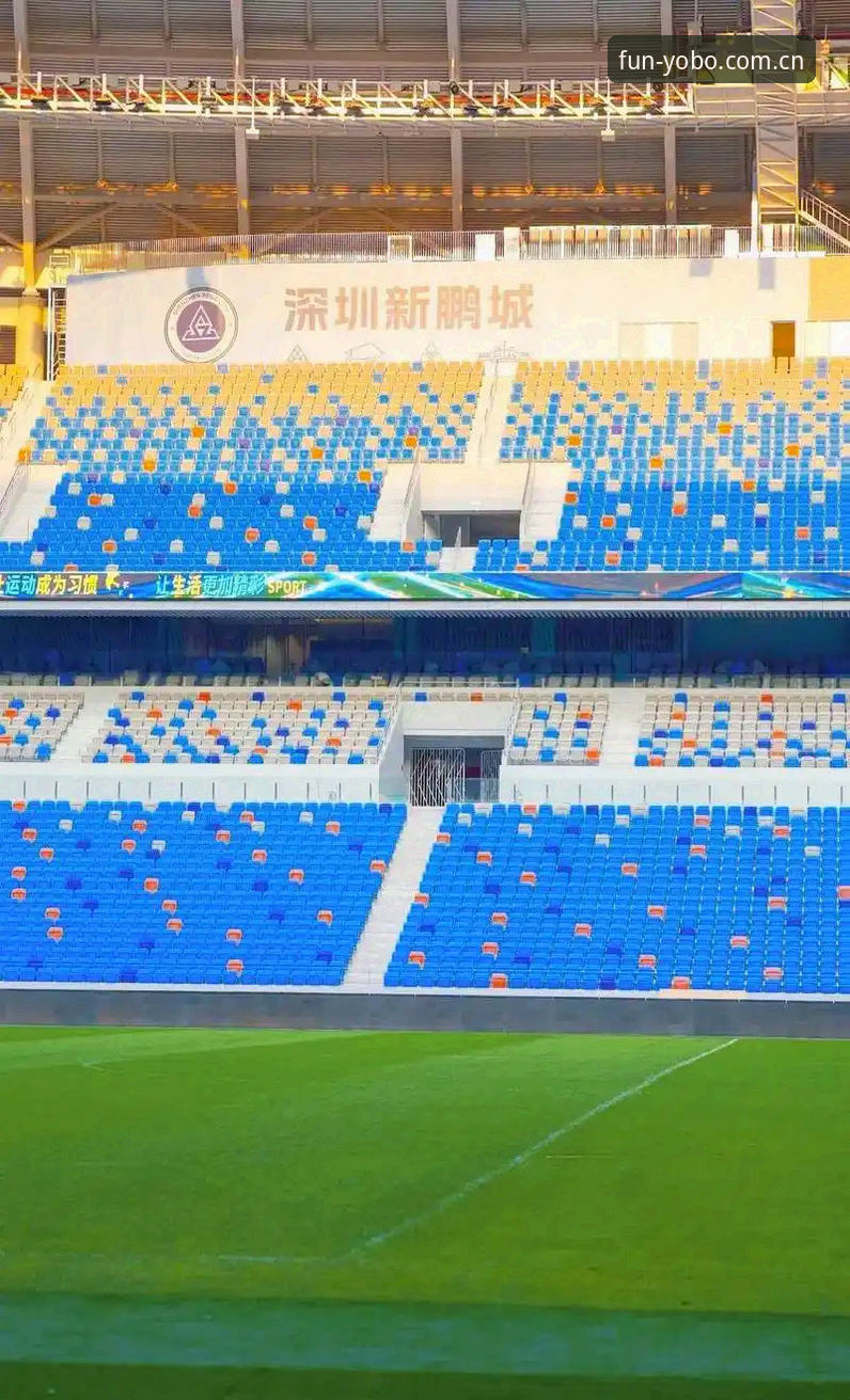 中国足协第三批禁足名单解读：从事件始末到Yobo体育入口观赛指南